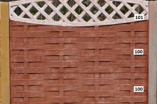 11150275_706185772840174_8777740378434344147_n