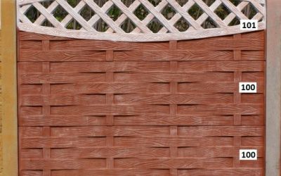 11150275_706185772840174_8777740378434344147_n