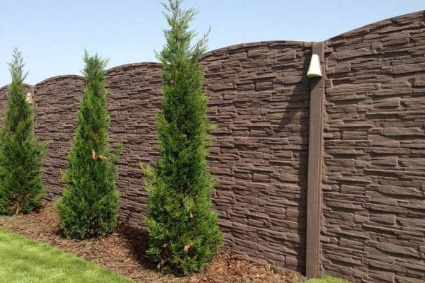 11174635_706189179506500_5524624402175971556_o