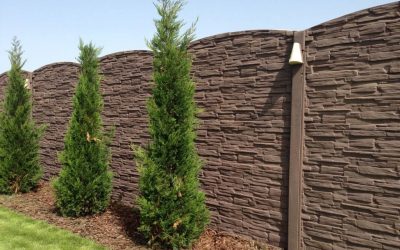 11174635_706189179506500_5524624402175971556_o