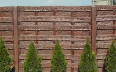 11193268_706186119506806_2752322354621642449_n