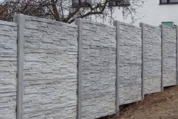 11203160_706186749506743_1465674050745765032_n