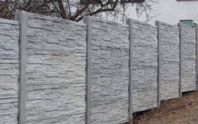 11203160_706186749506743_1465674050745765032_n