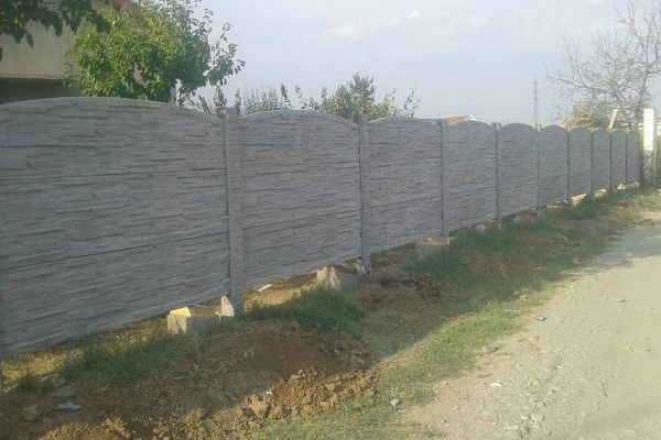 11219430_765592253566192_2042312408742944044_n