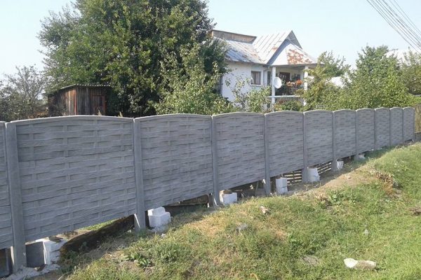 11220896_765592216899529_1375641442510545924_n