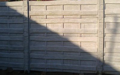 12592773_829930983798985_3996149400242131617_n