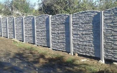 12661961_829932077132209_1418717165200889087_n