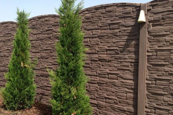 15940481_1103602726431808_177261488342466663_n