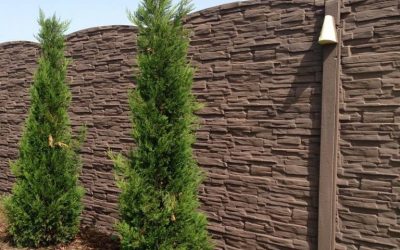 15966100_1103607316431349_3431993681238695422_n