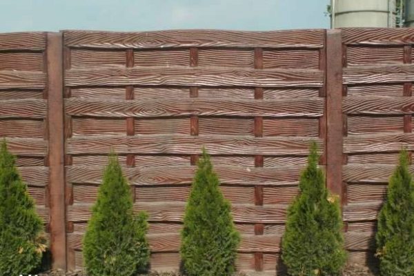 1610921_706183159507102_7220151766556160909_n